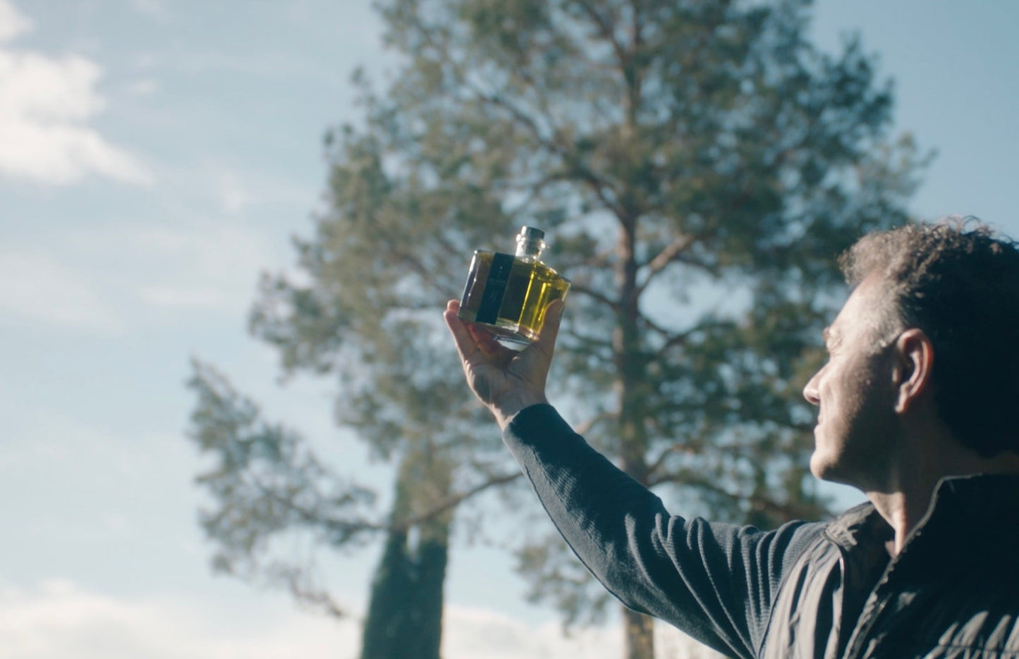 NEUE ERNTE 2025: Andrea's Olivenöl 500 ml handverlesen